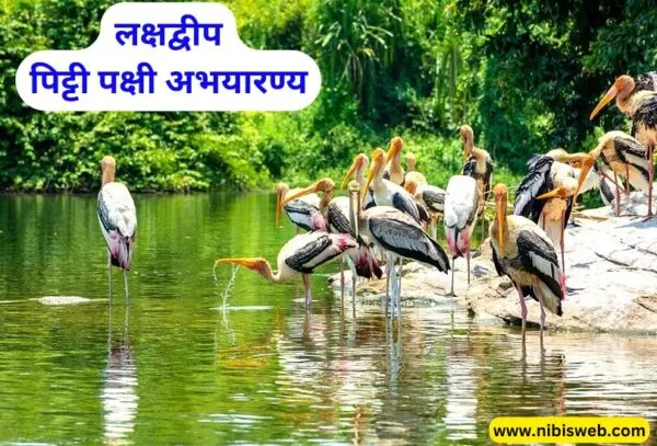 Lakshadweep Tour 2025 : लक्षद्वीप में घूमने की 10 बेहतरीन जगहें 