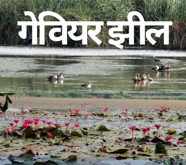 Surat me ghumne ki jagah