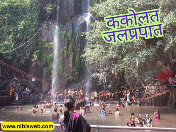 Hill Station of Bihar : गर्मी में सर्दी का एहसास दिलाते बिहार के ये 5 फेमस हिल स्टेशन
