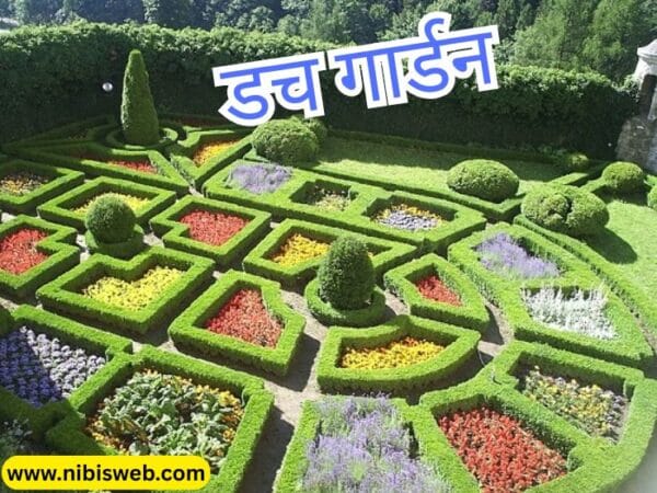 Surat me ghumne ki jagah