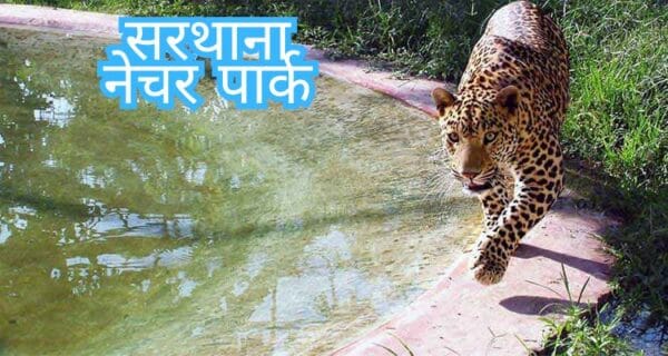 Surat me ghumne ki jagah
