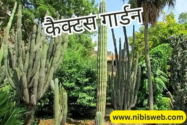 Ratlam me ghumne ki jagah
