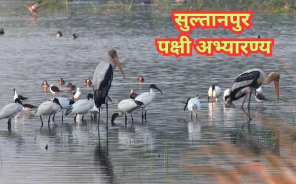 Delhi ke pass ghumne ki jagahen